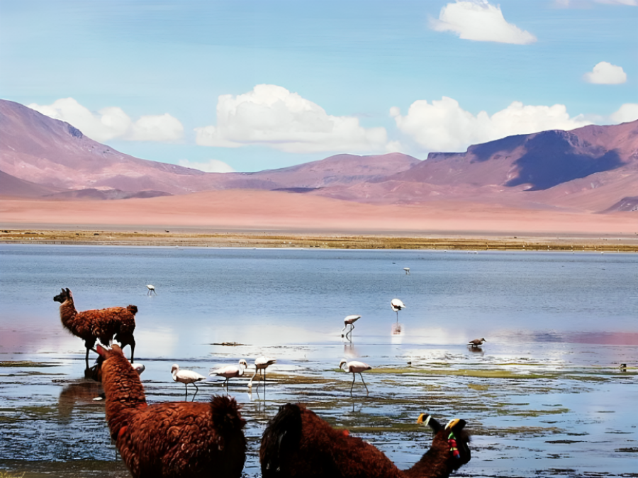 Imagem San Pedro de Atacama Chile 